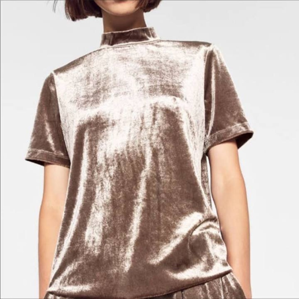 Zara Velvet Top